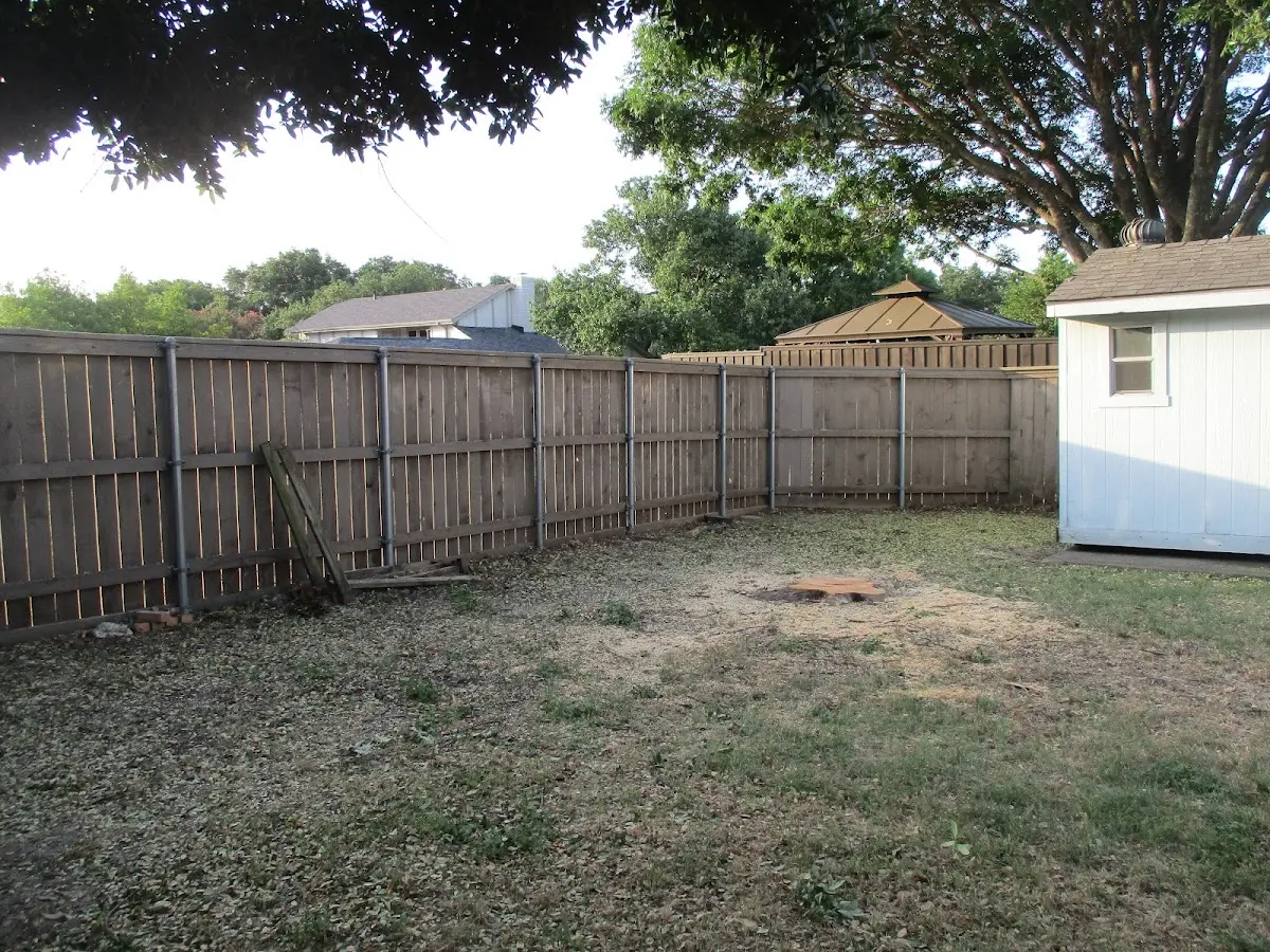 Cleared yard after professional tree removal in Westville