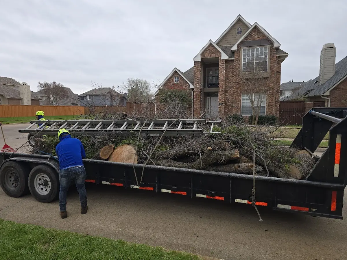 Expert Tree Fertilization with proper safety equipment in Westville